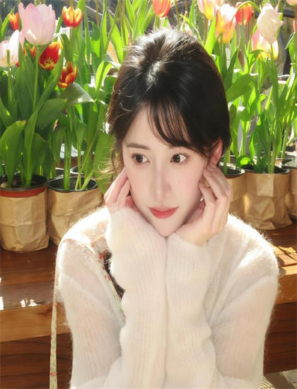 深度影评 历史学者评价《只有猫知道》的音乐魅力与声音艺术